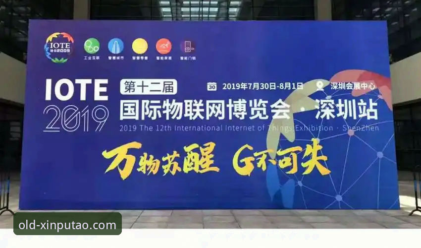 资深用户分享：新葡萄体育官网实战体验，从下载到注册一站式指南